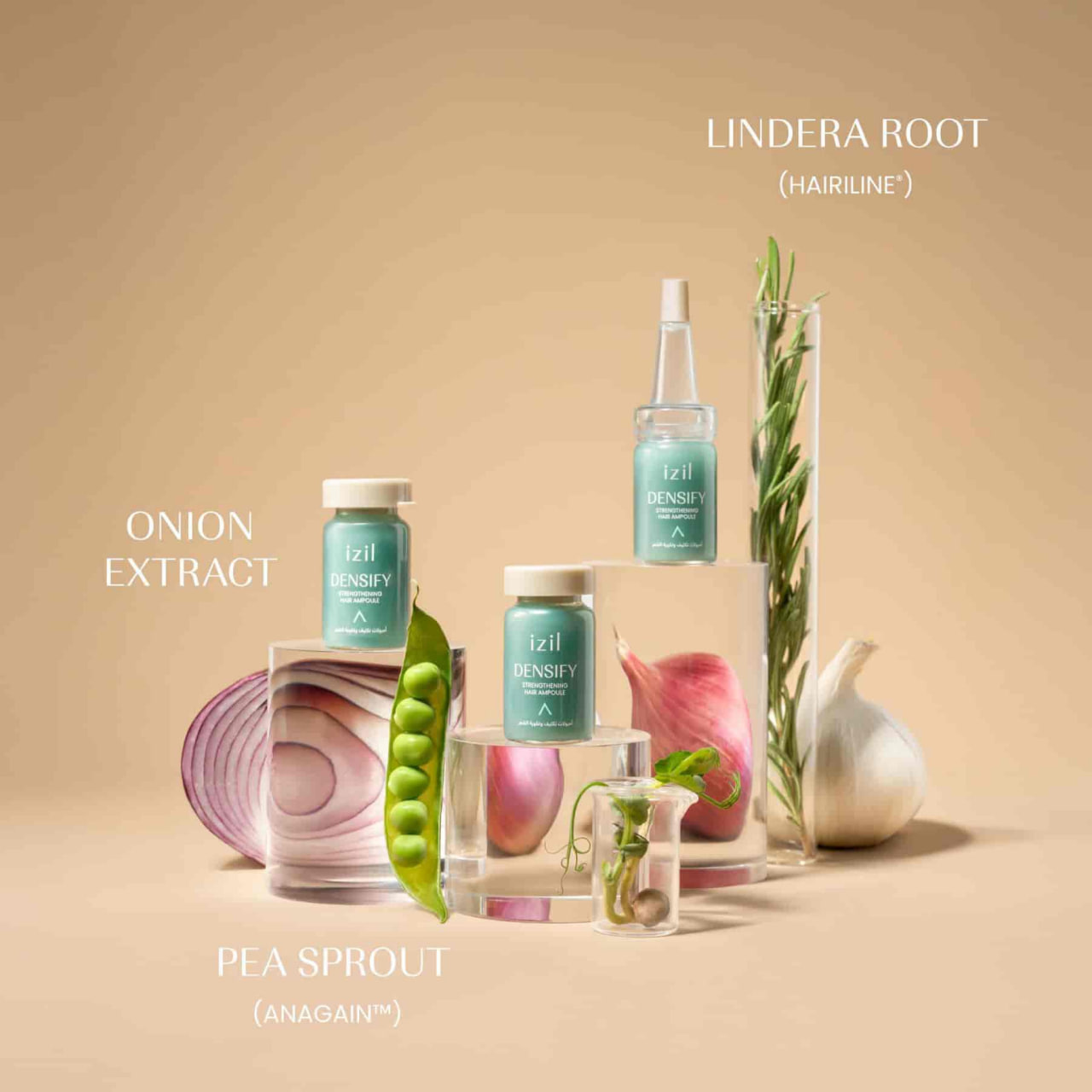 Densify Strengthening Hair Ampoules